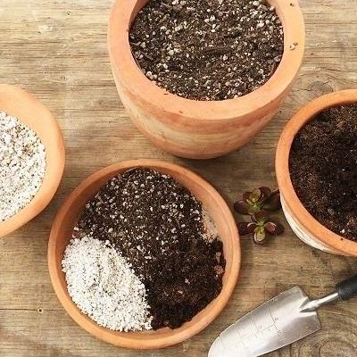 Mezcla se suelos específica para cultivar plantas suculentas