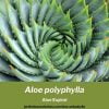 Aloe polyphylla cuidados y guia de cultivo del Aloe Espiral