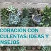 decoración con suculentas