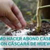 como hacer abono casero para suculentas con cascara de huevo